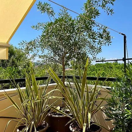 Attico Nonna Teresa - Centro Appartement Pesaro